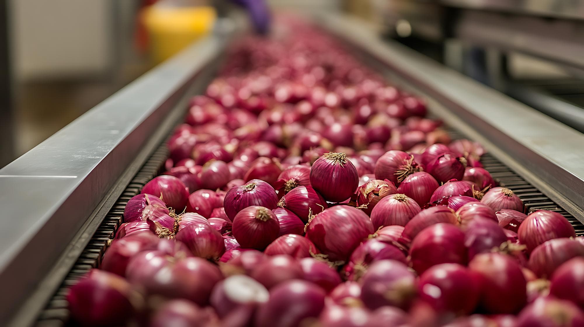 Onions