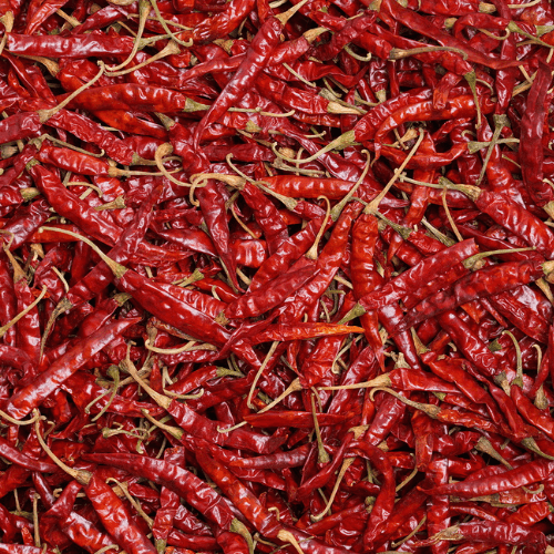 Dried Chillies